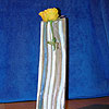 Designer-Vase „Beta“