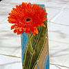 Designer-Vase Bios