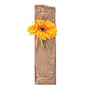 Designer-Vase „Ramses“