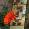 Designer-Vase „Keltic“