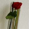 Designer-Vase „Bambus“
