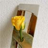 Designer-Vase „Ainoah“
